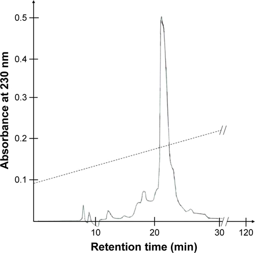 Figure S3 Purification profile of the bitistatin fraction (from Figure S2).Notes: In the second step of reverse phase HPLC. 5 mg protein of the bitistatin fraction from the first step of the purification was applied to a C18 column and elution was performed with linear gradient (dashed lines) of increased concentration of acetonitrile (20–80%) in 0.1% TFA over 120 min. The main peak was collected manually and lyophilized.Abbreviations: HPLC, high-performance liquid chromatography; TFA, trifluoroacetic acid.