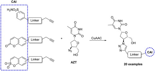 Scheme 5. Synthesis of CAI hybrids incorporating the azidothymidine scaffold.