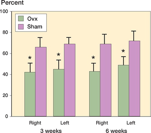 Figure 2. Trabecular bone volume density (VvTB) in the femoral head was significantly lower in the Ovx-group than in the Sham group, both 3 and 6 weeks after tibial shaft surgery. After 3 weeks, n = 14 in both right and left leg; after 6 weeks, n = 11/12 and 8/9 with respect to Ovx and Sham. * p < 0.001