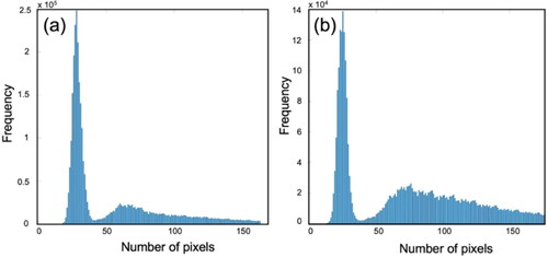 Figure 6. Histogram of the pixel intensity comparison from SEM image: (a) untreated fiber and (b) plasma-treated fiber.