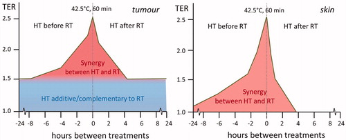 Figure 1. The effect of sequence and interval between radiotherapy and hyperthermia on the thermal enhancement ratio (TER) for tumour (left) and skin (right) for C3H mammary adenocarcinoma implanted in the hind limb of mice, redrawn from [Citation38]. Part of the thermal enhancement in tumour tissue appears to be due to an additive effect of hyperthermia, this component appears to be absent in the thermal enhancement in normal skin tissue.