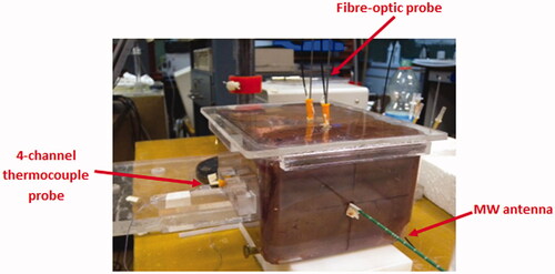 Figure 2. View of the plastic box with the tissue sample, temperature probes, and MW antenna.