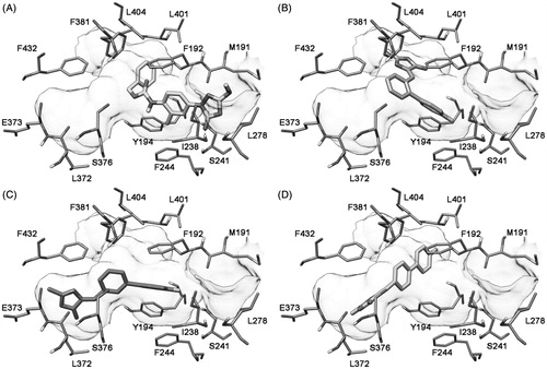 Figure 5. Docking of CAY10499 (A), 16b (B), 17b (C) and 18b (D) into humanized-rat FAAH receptor.