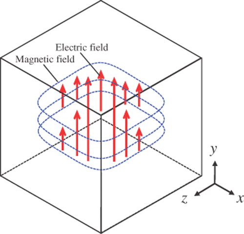 Figure 1. Electromagnetic distribution of the lowest (TE101) mode in a rectangular cavity resonator.