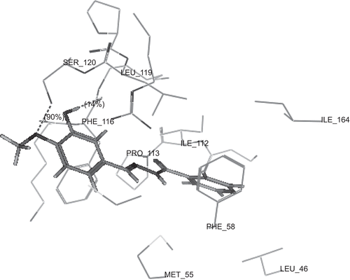 Figure 4.  3D view from a molecular modelling study, of the minimum-energy structure of the complex of 2g docked in DHFRE (PDB ID: 1J3I). Viewed using Molecular Operating Environment (MOE) module.