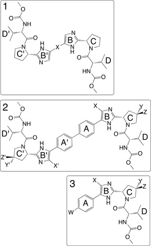 Figure 4 Three chemical series exploring systematic substitutions of a common compound 1 monomeric “cap” and relating specific features associated with activity across both class 1 (dimer) and class 2 (monomer) NS5a directed inhibitors.