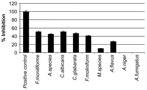 Figure 2.  Effect of different concentrations of the plant extract on percentage inhibition of different fungus strains.