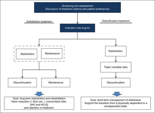 Figure 1 Clinical management: opioid substitution versus acute detoxification.