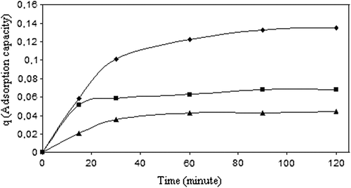 Figure 7. Change of adsorption capacity with time (◊: 0.077 M 5-FU solution, : 0.038 M 5-FU solution, Δ: 0.0192 M 5-FU solution), (crosslinking concentration: 0 042 M, exposure time to crosslinking: 5 min, percent of magnetite: 67%, CS/MC (w/w): 1/1, temperature: 37°C).