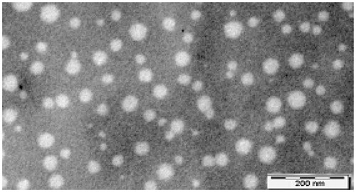 Figure 3. TEM microphotograph of microemulsion (M/E110).