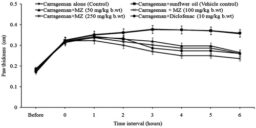 Figure 1. Effect of MZ on carrageenan-induced paw edema formation.