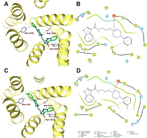 Figure 5. Compounds 1 (A, B) and 10 (C, D) in the binding pocket of the human serotonin 5-HT1A receptor. (A, C) 3D view of the binding site. Ligands are represented as sticks with green carbon atoms. Protein is represented as yellow ribbons, main interacting residues are shown as sticks with grey carbon atoms. Electrostatic interactions are shown as pink dashed lines, hydrogen bonds as yellow dashed lines, π–π stacking as light blue dashed lines. Non-polar hydrogen atoms were omitted for clarity. (B, D) 2D view of the binding site.