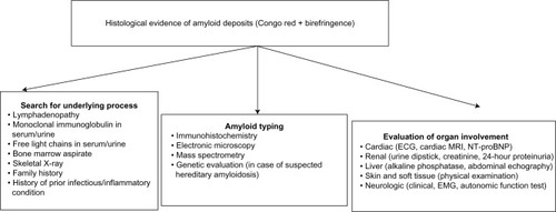 Figure 1 Diagnostic algorithm in patients with suspected amyloidosis.