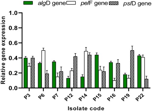 Figure 1. Impact of ECEE on the gene expression of the biofilm-forming isolates.