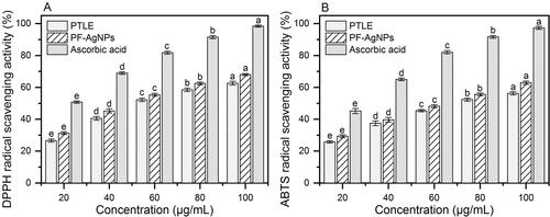 Figure 12 Antioxidant activities of PTLE, PF@AgNPs and ascorbic acid (A) DPPH radical scavenging activity, and (B) ABTS radical scavenging activity. All the data were represented as mean ± SD (n =3) in the form of bar graph. Data were analyzed by one-way analysis of variance (ANOVA, P < 0.05). Different lowercase letters above the bars indicate significant differences (P < 0.05).