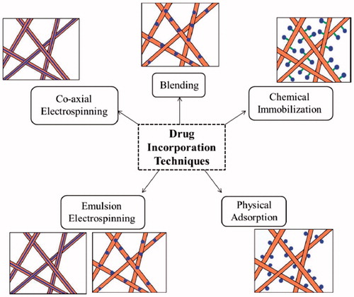 Figure 1. Drug incorporation techniques (Goonoo et al. Citation2014).