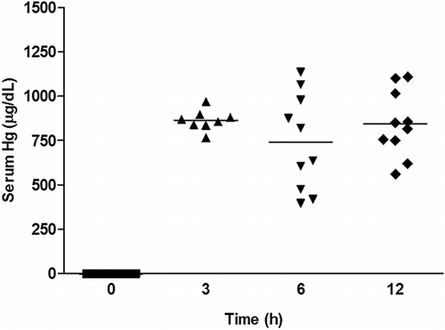 Figure 2. Serum mercuric concentration before and after BMMC transplantation. Groups of mice were challenged with HgCl2. Serum mercuric concentrations were determined 0, 3, 6, and 12 h after challenge (p > 0.05; ANOVA, Turkey’s Multiple Comparison test). Values represent individual mice, n = 8–10 per group.
