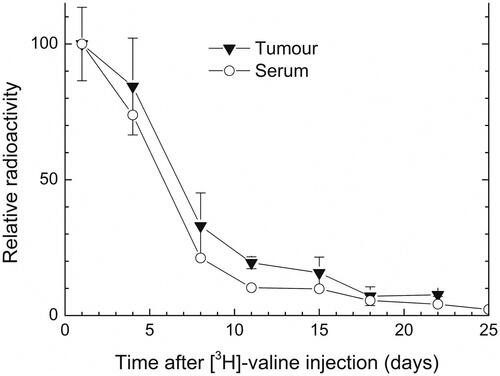Figure 2. [3H]-valine turnover in tumor tissue and serum of a PC-3 prostate cancer xenograft model. Turnover of radioactivity was assessed after an initial injection of 41.7 μCi [3H]-valine. Every 4–5 days three mice were sacrificed and tumor activity was measured by scintillation counting. Error bars represent standard error, n = 3.