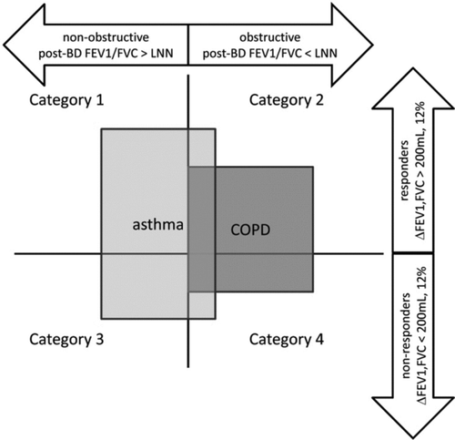 Figure 1.  Possible relations between results of bronchodilatation test and the diagnosis of asthma and COPD (LLN –lower limit of normal, BD –bronchodilator, ∆ - change of parameter after BD).