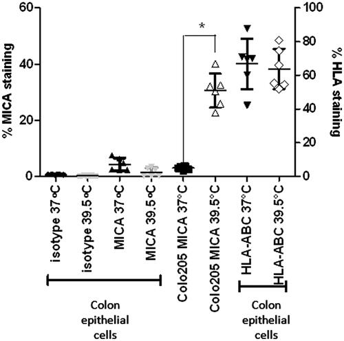 Figure 6. Expression levels of MICA and MHC Class I are not altered with thermal stress in non-malignant, normal human colon epithelial cells. Normal colon epithelial cells isolated from donors and Colo205 cells were treated with mild thermal stress at 39.5 °C for 6 h in vitro and cell surface levels of MICA and HLA-A, B, C were quantified by flow cytometry. The results are plotted showing means and standard deviations of six samples. *p = 0.0002 compared to the corresponding normothermic group using unpaired t-test with Welch’s correction.