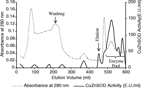 Figure 2 Profile of affinity chromatography.