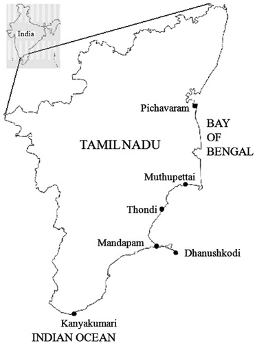 Figure 1. Sampling stations along the coastal regions of Tamil Nadu.