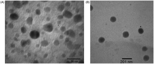 Figure 1. Transmission electron micrographs of nanoparticles: (A) 5-FU-loaded PLGA-coated nanoparticles with iron core, (B) PLGA-coated nanoparticles without iron core.