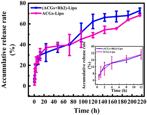Figure 3. The in vitro release profiles of ACGs-Lipo and (ACGs + Rh2)-Lipo (n = 3, mean ± SD).