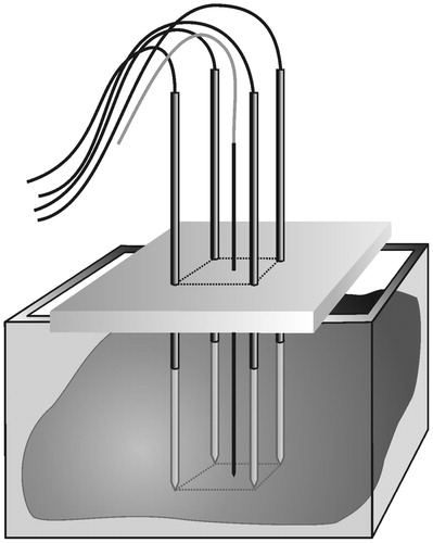 Figure 2. Ex vivo bovine liver experiments. Temperature was monitored with a thermocouple in the centre of the square determined by the tips of the four radiofrequency electrodes.