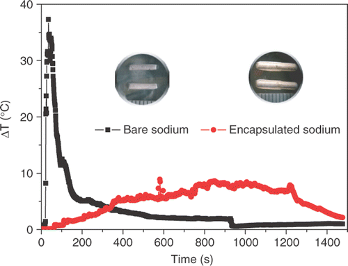 Figure 1. Comparison of temperature rises between bare and encapsulated sodium cases in in vitro pork. Heat release of bare sodium was intense and centralized, while that of encapsulated sodium was gentle and had a longer duration. Optical images of the two forming sodium cylinders are also given.