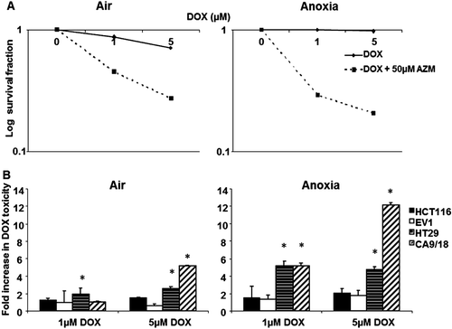 Figure 4.  AZM enhances toxicity of doxorubicin. The minimal effect of AZM alone on toxicity has been corrected. (A) The addition of 50 µM AZM increased DOX toxicity in HT29 cells under aerobic and anoxic conditions. (B) 50 µM AZM had a minimal effect on doxorubicin toxicity in HCT116 (black bars) and EV1 (white bars) cells under aerobic conditions (left panel), however CA9/18 (diagonal lined bars) cells showed a 5.2 fold increase in toxicity of 5 µM DOX. 50 µM AZM did not alter DOX toxicity in HCT116 and EV1 cells under anoxic conditions (right panel), but HT29 (horizontal lined bars) cells exhibited an approximately 5 fold increase in toxicity at both doses of DOX. Anoxic CA9/18 cells showed a 5.2 fold increase in toxicity of 1 µM DOX and 12.13 fold increase of 5 µM DOX toxicity (right panel). *p < 0.05. Error bars indicate SEM of n = 3 samples. AZM, acetazolamide; DOX, doxorubicin.