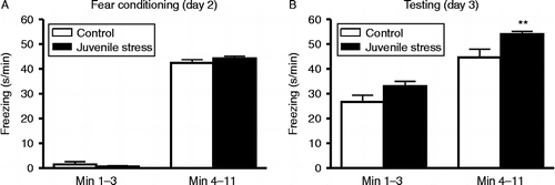 Figure 2.  Time spent freezing (s/min) during fear conditioning and testing. (A) Freezing during 1–3 min (pre-shock period; left) and 4–11 min (tone+shock presentation; right) during fear conditioning (day 2). (B) Freezing during 1–3 min (context period; left) and 4–11 min (tone presentation+context phase; right) during testing (day 3). n = 21 control rats, 23 juvenile stress rats; **p < 0.01 compared with respective control group.