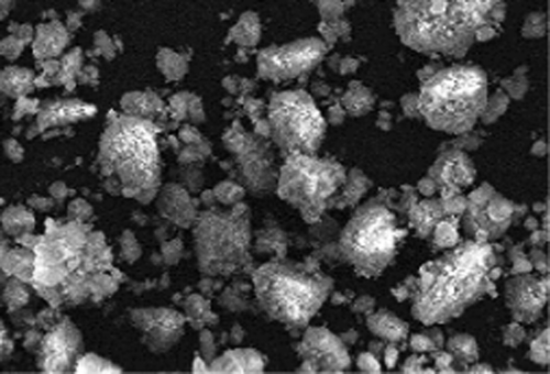 Figure 1. SEM micrograph of magnetite nanoparticles prepared with carob leaf extract as the initial substance (CitationAwwad and Salem 2012).