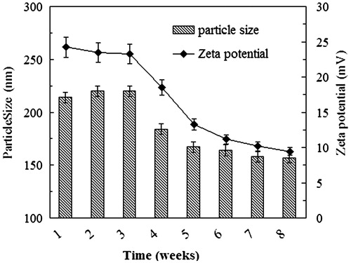 Figure 4. The changes of the size and the zeta potential of the NPs against the storage time.
