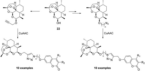 Scheme 4. Schematic synthesis of CAI hybrids incorporating artemisin.