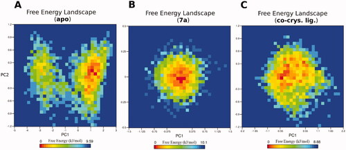 Figure 5. The free energy landscape (FEL) of the simulated PTR1 systems is based on the principal component analysis. (A) Leishmanial PTR1. (B) 7a-PTR1 complex. (C) Co-crystal ligand – PTR1 complex. The colour bar represents the free energy value in kcal mol − 1. The colour ranges from red to yellow to blue spots indicate the energy minima and energetically favoured protein conformations to more unfavourable high-energy conformations.