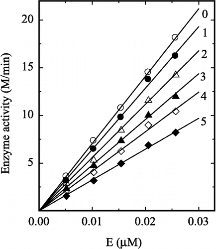 Figure 3 Effects of prawn NAGase concentration on its activity at different concentrations of H2O2. The concentrations of H2O2 for curves 0–5 were 0, 0.2, 0.4, 0.6, 0.8 and 1.0 M, respectively. Assay conditions were same as in Figure 2.