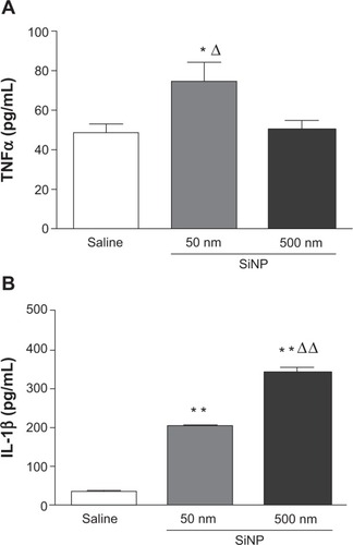 Figure 5 Effect of amorphous silica nanoparticles on plasma concentrations of proinflammatory cytokines.Notes: Tumor necrosis factor α (A) and interleukin 1β (B) in plasma, 24 hours after the administration of either 50 nm or 500 nm amorphous silica nanoparticles (0.5 mg/kg) in mice. *P<0.05 and **P<0.001 compared with the corresponding saline-treated group. ΔP<0.05 and ΔΔP<0.0001 between 50 nm and 500 nm silica nanoparticle-treated groups. Data are mean ± standard error of mean (n=6–8).Abbreviations: TNFα, tumor necrosis factor α; SiNP, silica nanoparticle; IL-1β, interleukin 1β.