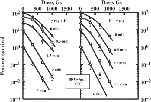 Figure 6. Survival curves for diploid yeast cells exposed to a sequential treatment with ionizing radiation (60Co γ-ray, 80 Gy/min) and hyperthermia (58°C) and the reverse order of these agents. Different lines are labelled with the duration of heat exposure (minutes).