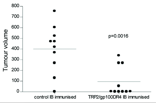 Figure 6 Immune responses generated by ImmunoBody™ DNA vaccination can delay tumour growth. HLA-DR*0401 transgenic mice were immunised with ImmunoBody™ DNA containing the H-2Kb restricted TRP2 epitope in CDRH2 and the HLA-DR*0401 restricted gp100 epitope in CDRH3 via gene gun at days 0, 7 and 14. On day 14, mice were injected s.c. with 2.5 × 104 B16F1 tumour cells. Tumour growth was monitored at 3–4 day intervals using a calliper and displayed as tumour volume at day 22 post tumour implant (n = 10).