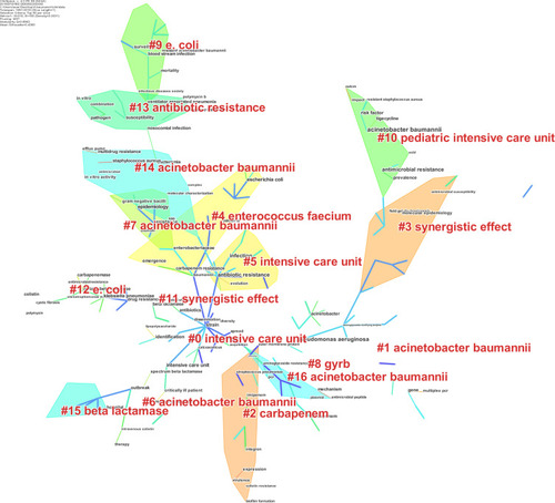 Figure 7 The clusters visualization network of keywords of antibiotic-resistance A. baumannii related publications from 1991 to 2019.