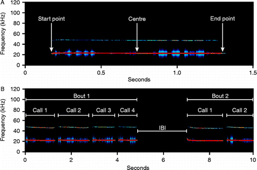 Figure 1.  (A) Spectrogram of an exemplary call with the three points where peak amplitudes and frequencies were measured. These parameters were also derived from the average spectrum of the entire call (not depicted). (B) Spectrogram of two successive bouts of calls. Shown are examples for calls starting a bout (Call 1), calls within a bout (Calls 2–4), bouts (Bout 1 and Bout 2) and an inter-bout interval (IBI).