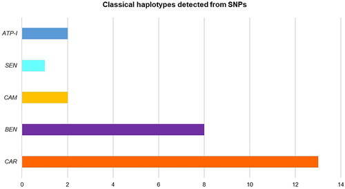 Figure 3. Classical Haplotype frequencies for individuals of Calamar, Bogotá-Pregen, Palenque de San Basilio, “Canal del Dique” and two controls, from four (4) SNPs (Table 7), in this work.