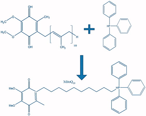 Figure 4. MitoQ10 obtained by chemical conjugation of CoQ10 and TPPBr for mitochondrial targeting.