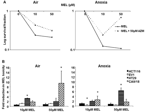 Figure 3.  AZM reduces toxicity of melphalan. AZM alone had a minor impact on cell survival, but the results were corrected for any effects of AZM. (A) 50 µM AZM reduced MEL toxicity in aerobic (left panel) and anoxic (right panel) HT29 cells. (B) No reduction in MEL toxicity following 50 µM AZM exposure under aerobic conditions was noted in HCT116 (black bars) and EV1 (white bars) cells (left panel). 50 µM AZM significantly reduced 50 µM MEL toxicity in HT29 cells (6.3 fold) under anoxic conditions (horizontal lined bars) (right panel). *p < 0.05. Error bars indicate SEM of n = 3 samples. AZM, acetazolamide; MEL, melphalan.