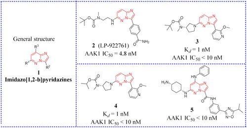 Figure 9. The chemical structures of patented AAK1 inhibitors with imidazo[1,2-b]pyridazine.
