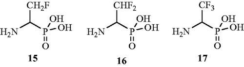 Figure 11. Structures of fluorinated 1-aminoethyl phosphonic acid analogs 15–17 as Alr inhibitors.