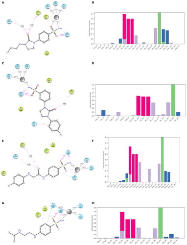 Figure 5. (A, C, E, and G) The 2D representation of most conserved ligand–protein interactions with (B, D, F, and H) the indication of the persistence (%) along the simulation and depiction of frequency and type of ligand-protein interaction along with the MD simulation. (A, B) 9c, (C, D) 12c, (E, F) 4b, and (G, H) 10a.