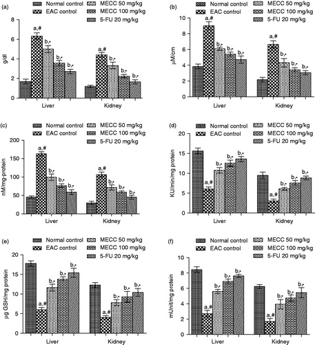 Figure 3. Effect of MECC on tissue antioxidant defense parameters like total protein count (a), protein oxidation (b), lipid peroxidation (c), CAT (d), reduce GSH (e) and SOD (f) in EAC bearing mice. Values are represented as mean ± SEM, where n = 6. aEAC control group versus normal control group, #p < 0.01. bAll treated groups versus EAC control group, *p < 0.01.