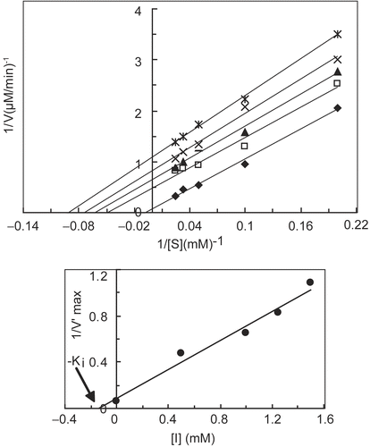 Figure 3.  (a) Double reciprocal Lineweaver-Burk plots of MT kinetic assays for cresolase reactions with MePAPh in 10 mM PBS, 20 °C and pH 6.8, in the presence of different fixed concentrations of propanoic acid: 0 (♦), 0.5 (□), 1.0 (▴), 1.25 (×) and 1.5 mM (*). (b) The secondary plot of reciprocal apparent maximum velocity (1/ V′max) versus the concentration of inhibitor [I], where the abscissa-intercept is −Ki.
